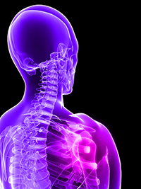 Enfermedades por aparatos. Huesos, articulaciones y músculos. Osteoporosis Enfermedades por aparatos. Huesos, articulaciones y músculos. Osteoporosis